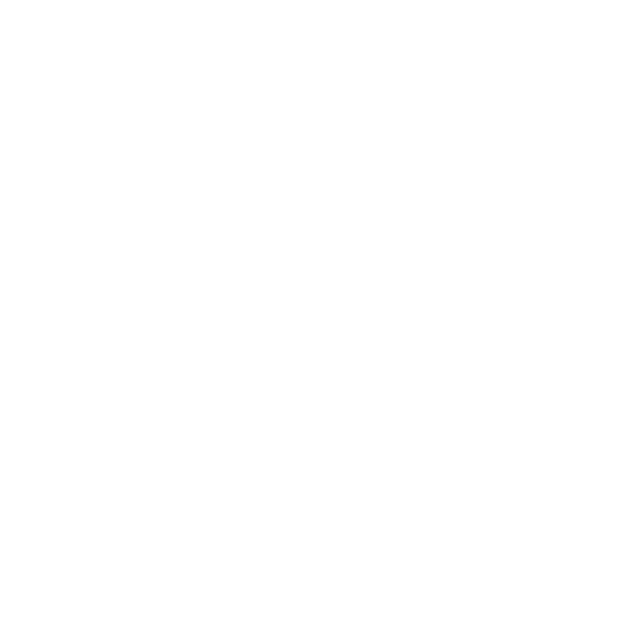 Synvora Logo